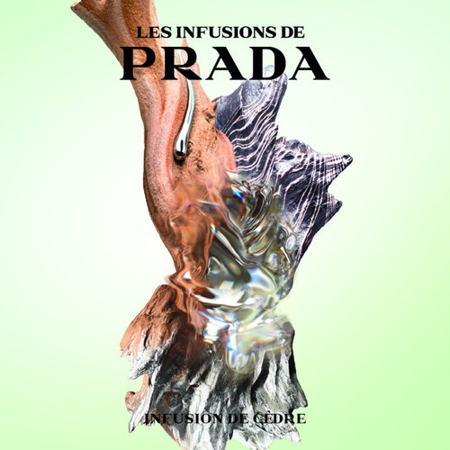 Infusion de Cedre Eau De Parfum 100ml