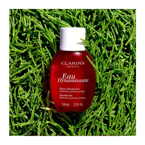 Eau Dynamisante Deodorant 100ml
