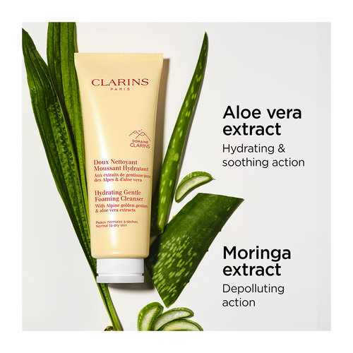Hydrating Gentle Foaming Cleanser