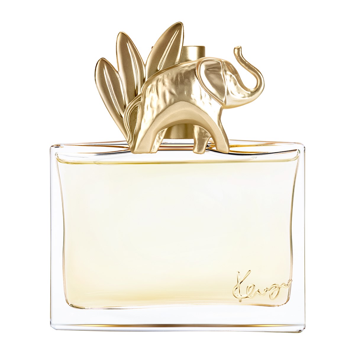 Jungle Elephant Eau de Parfum