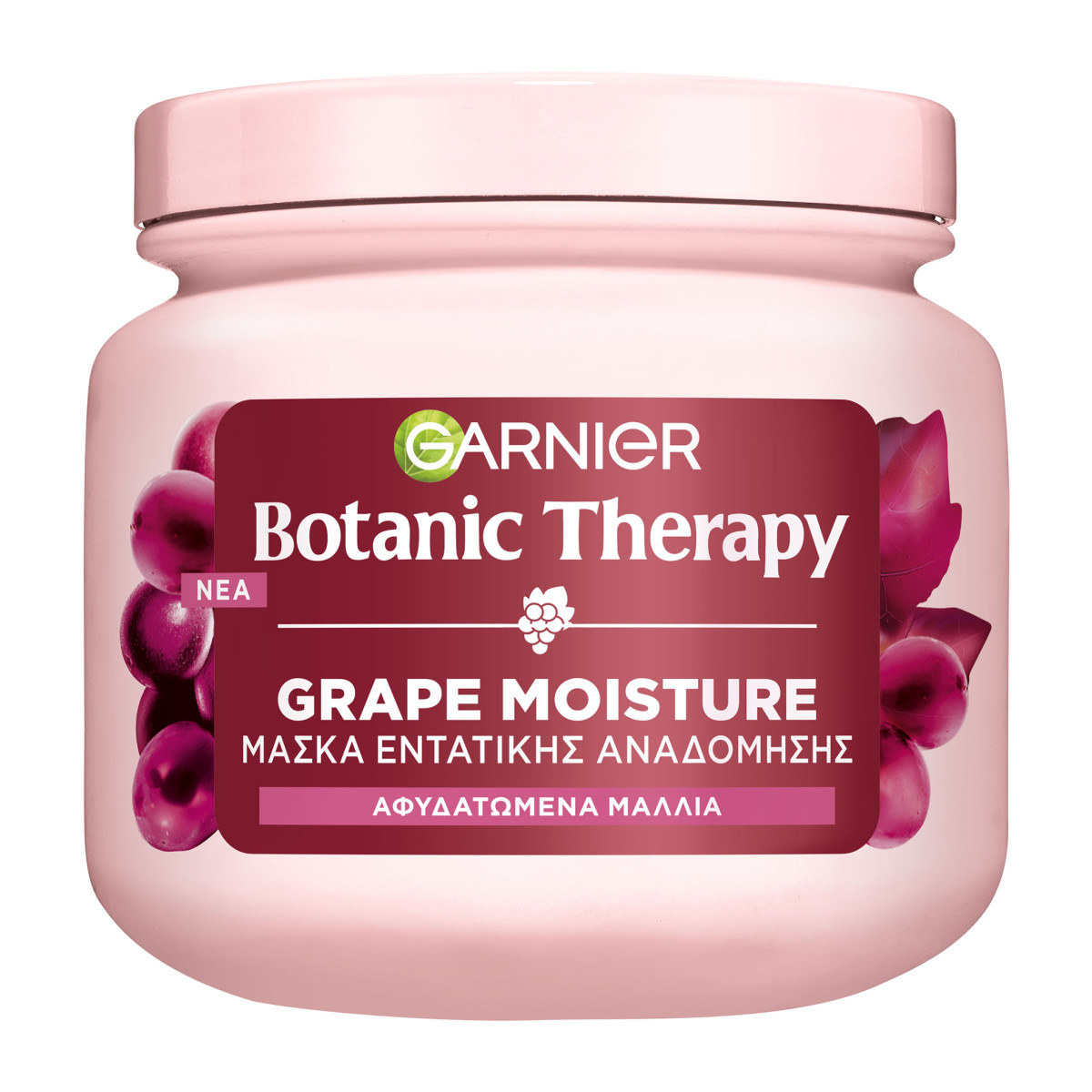 BOTANIC THERAPY GARNIER Grape Moisture Μάσκα Μαλλιών 340ml