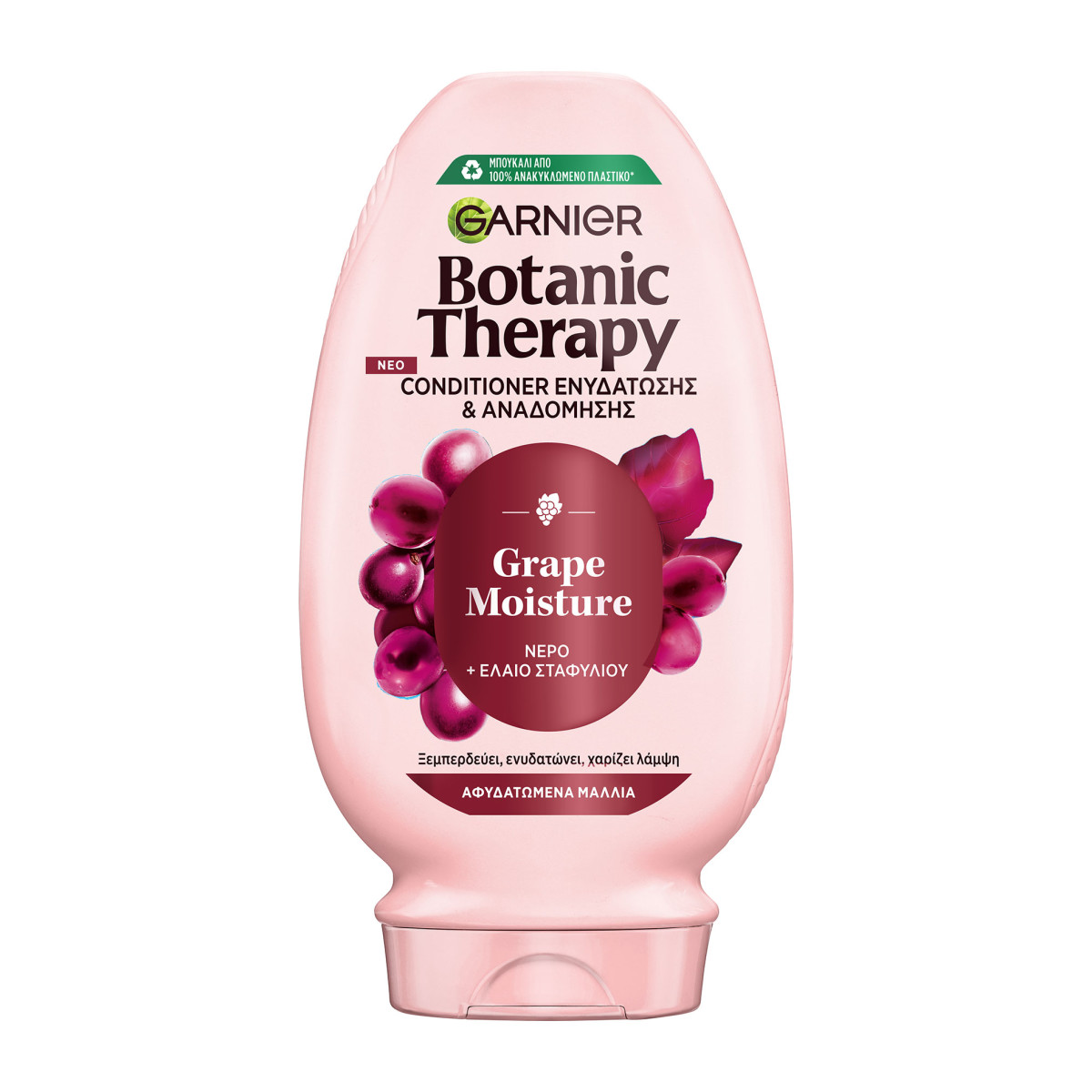 BOTANIC THERAPY GARNIER Grape Moisture Conditioner 200ml