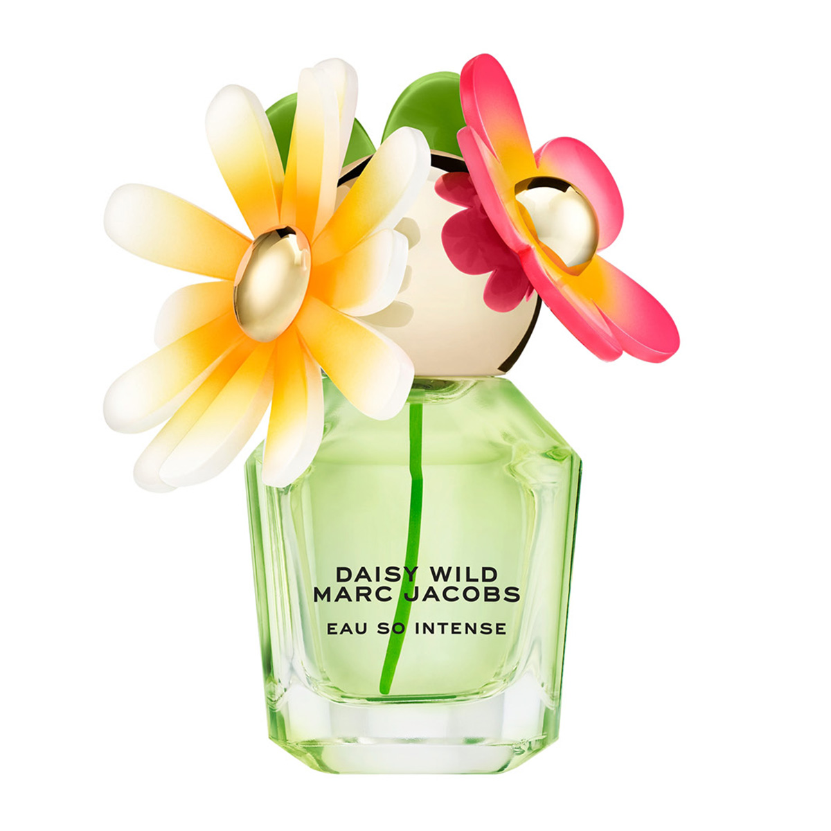 Daisy Wild Eau So Intense Eau De Parfum | 30ml