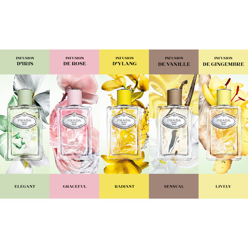 Prada Infusion de Rose Eau de Parfum 100ml