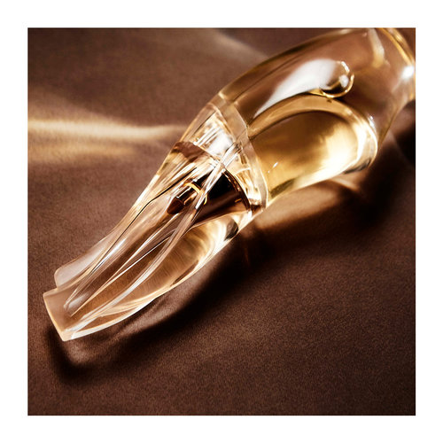Cashmere Mist Eau De Parfum