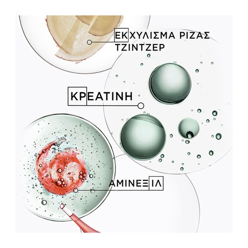 Genesis Homme Bain De Force Quotidien Καθημερινό Σαμπουάν Ενάντια Στην Τριχόπτωση 250ml