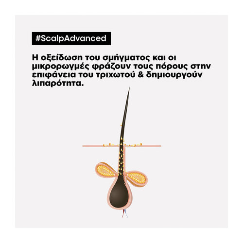 Serie Expert Scalp Advanced Anti-Oily Άργιλος Κατά Της Λιπαρότητας 250ml
