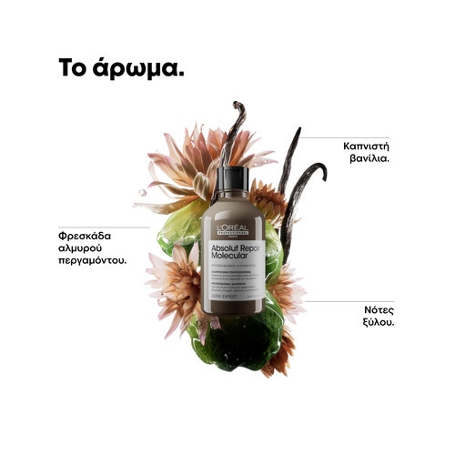Serie Expert Absolut Repair Molecular Σαμπουάν Επανόρθωσης Χωρίς Θειικά Άλατα Για Ταλαιπωρημένα Μαλλιά